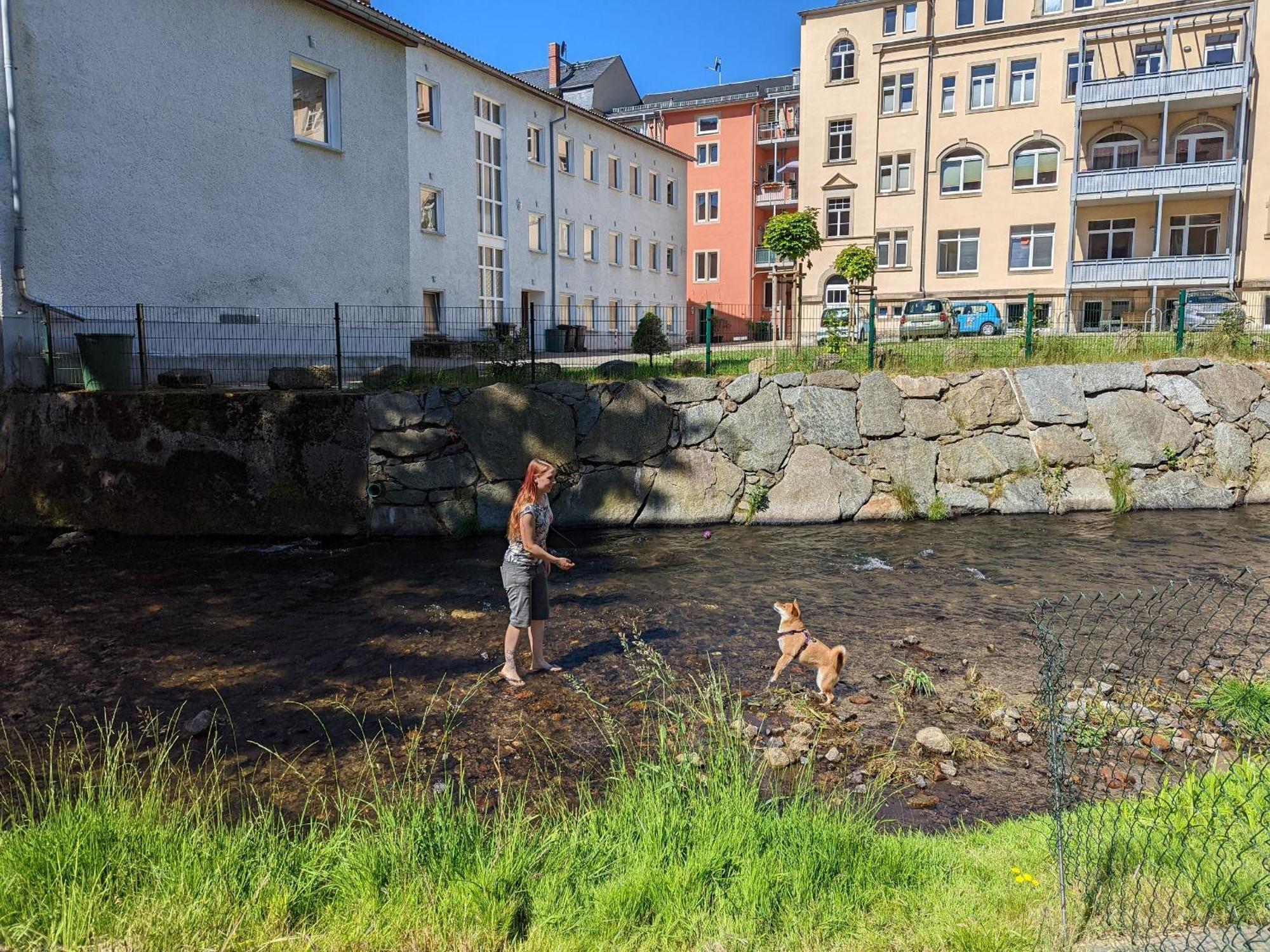 Zi1 - Urlaubsmagie - Erholung Mit Whirlpool & Sauna Sebnitz Luaran gambar